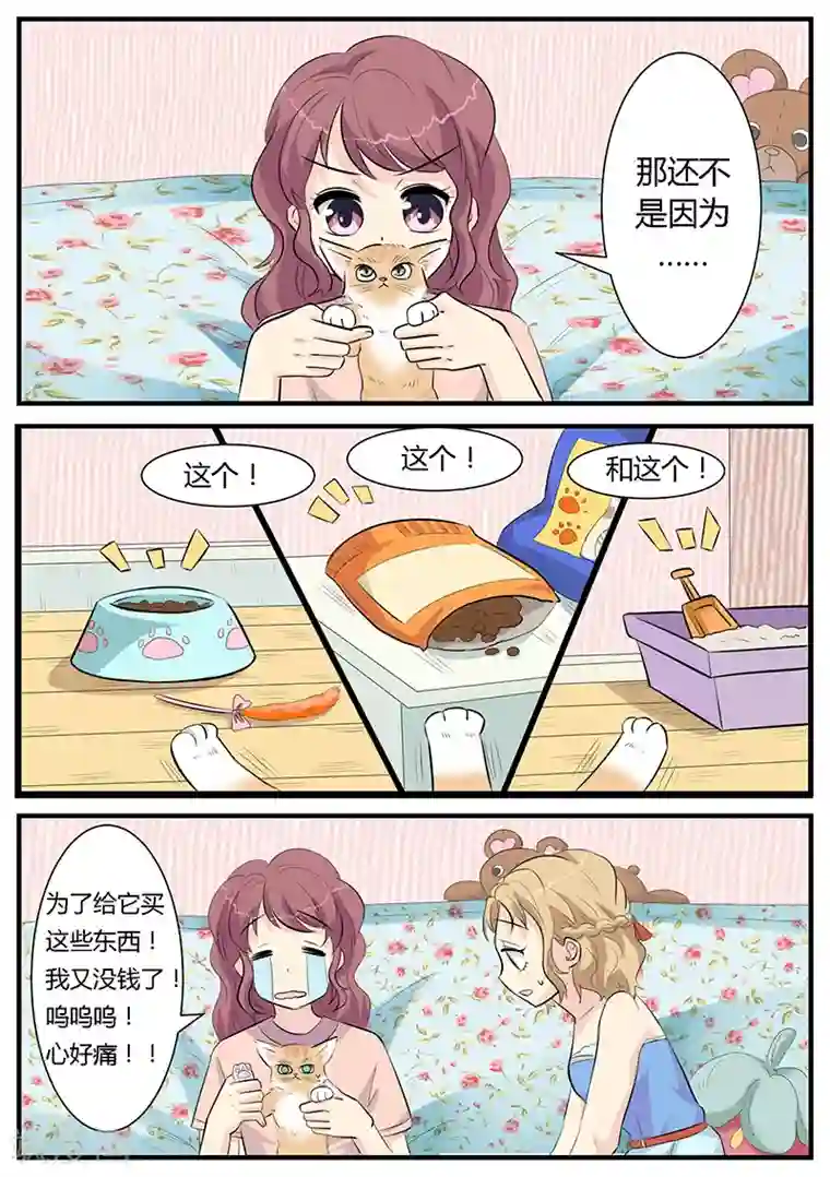 猫奴富少好缠人第2话