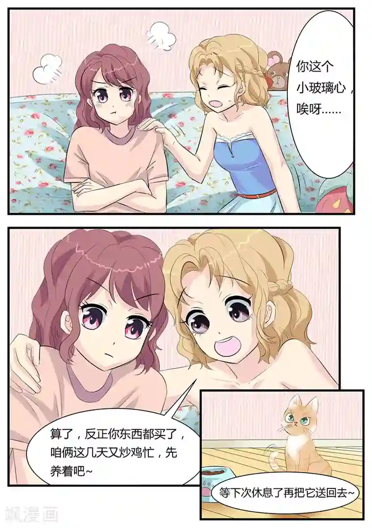 猫奴富少好缠人第2话