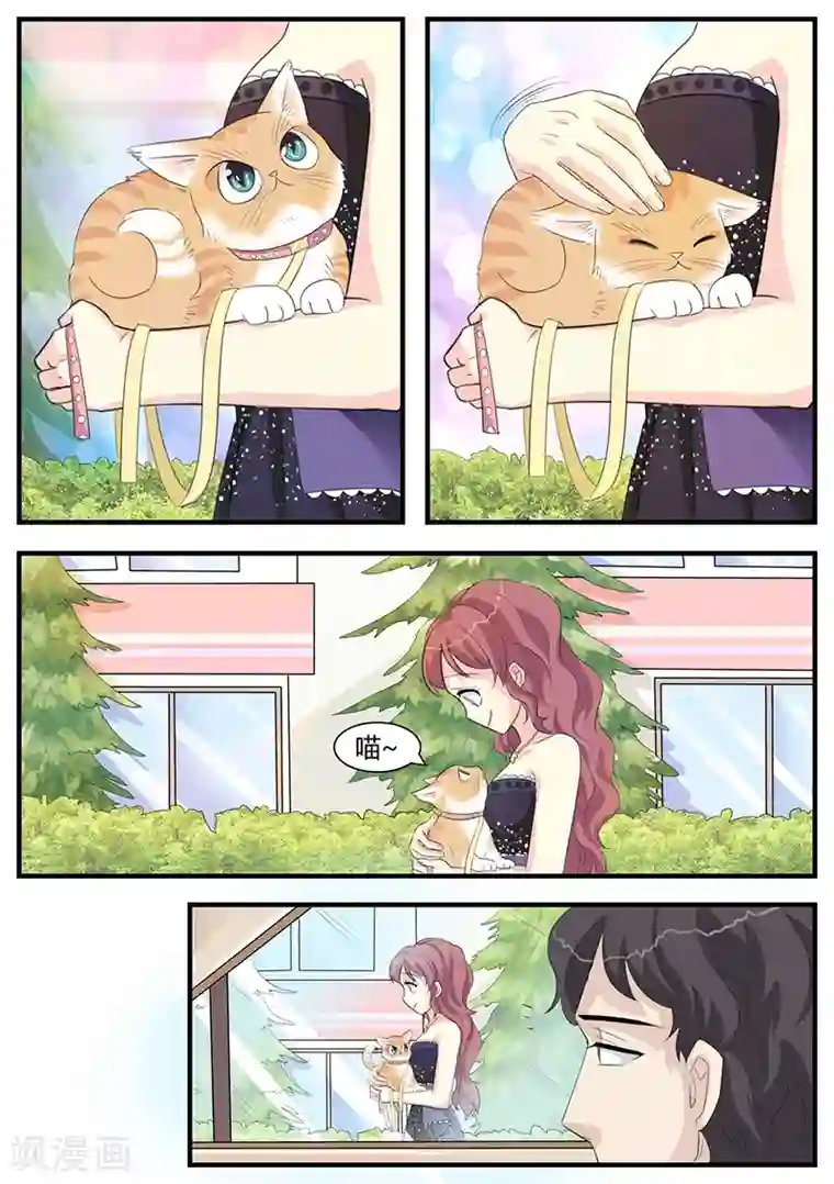 猫奴富少好缠人第3话