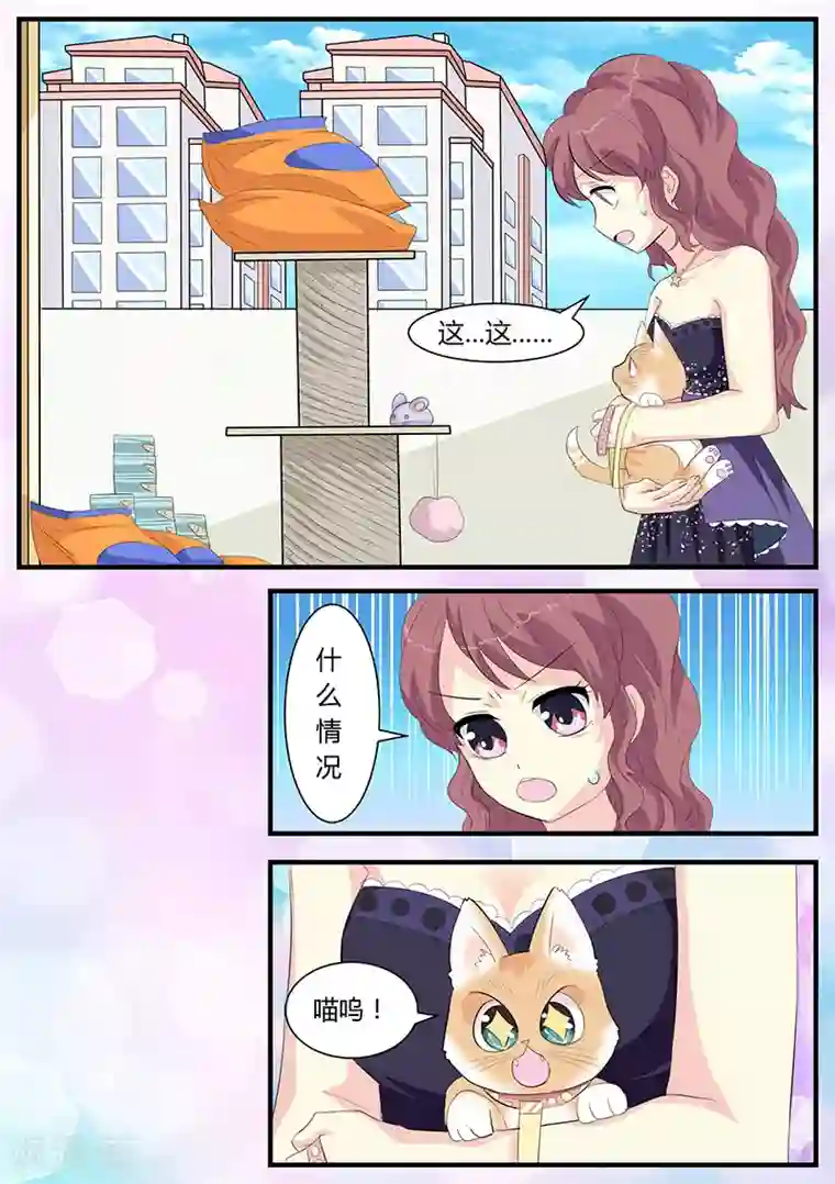 猫奴富少好缠人第3话