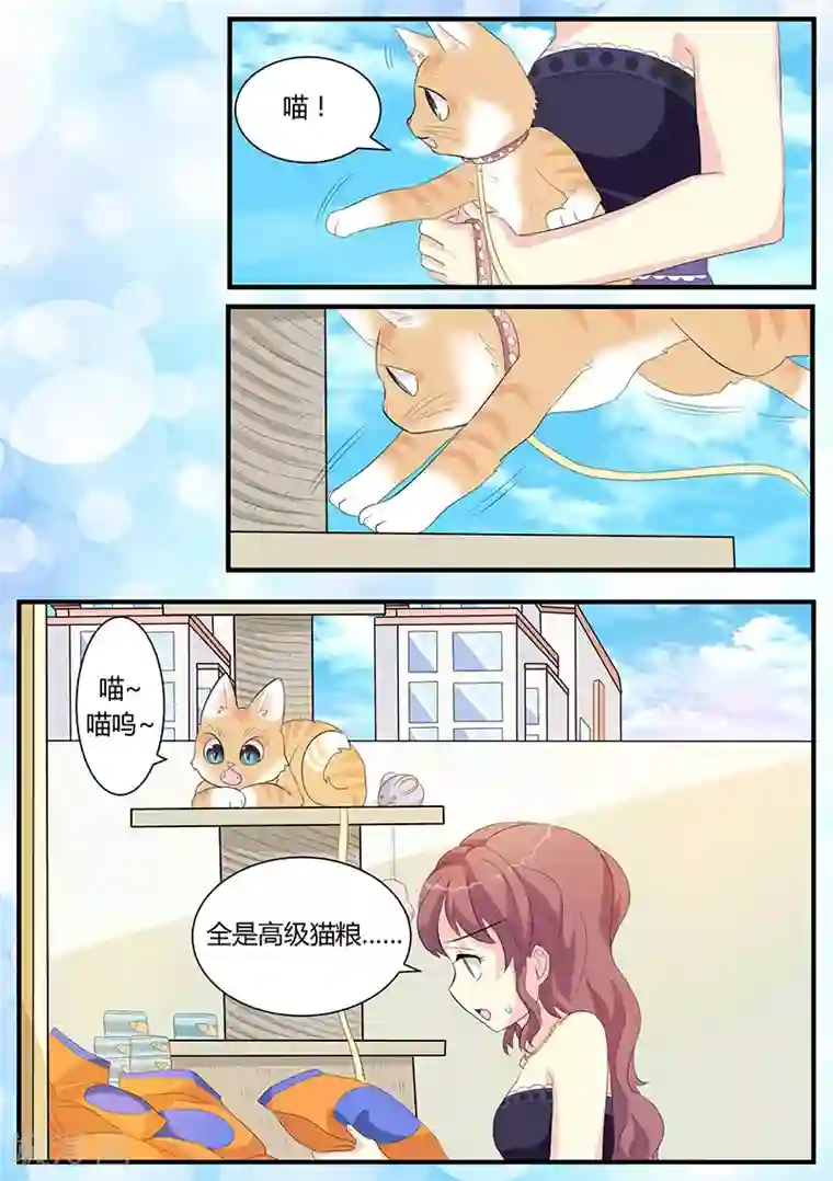 猫奴富少好缠人第3话