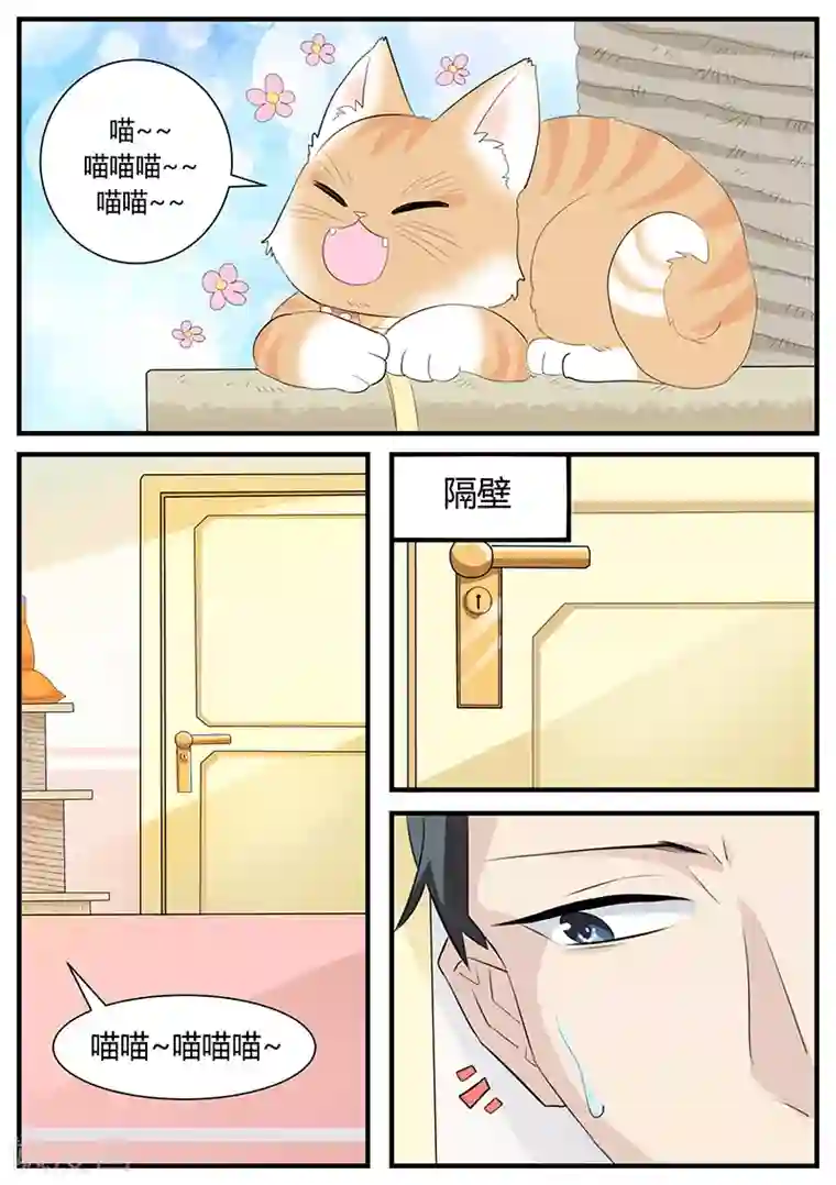 猫奴富少好缠人第3话