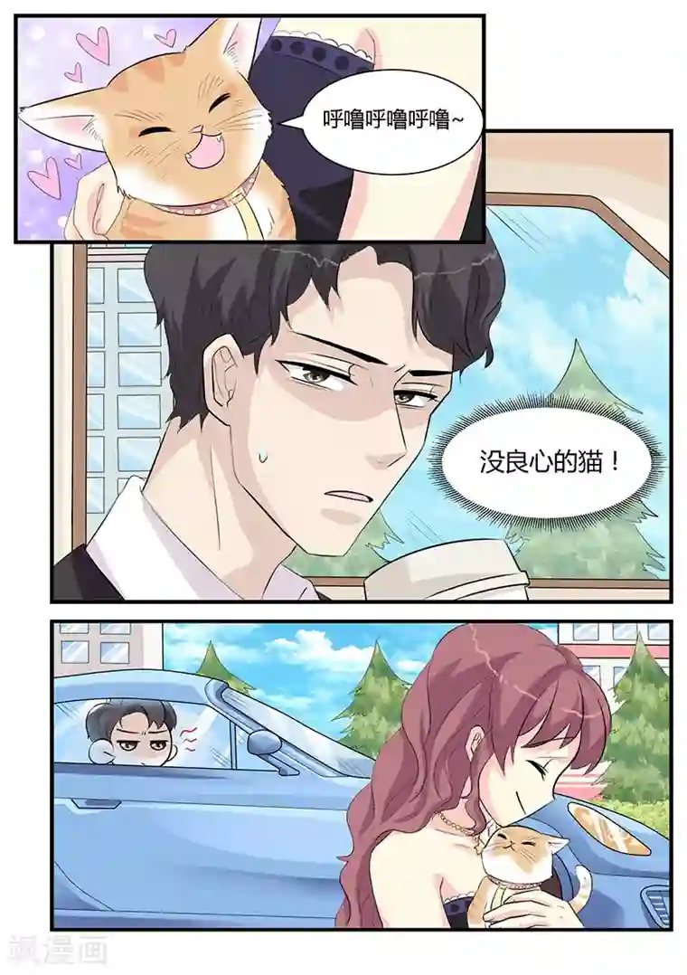 猫奴富少好缠人第3话