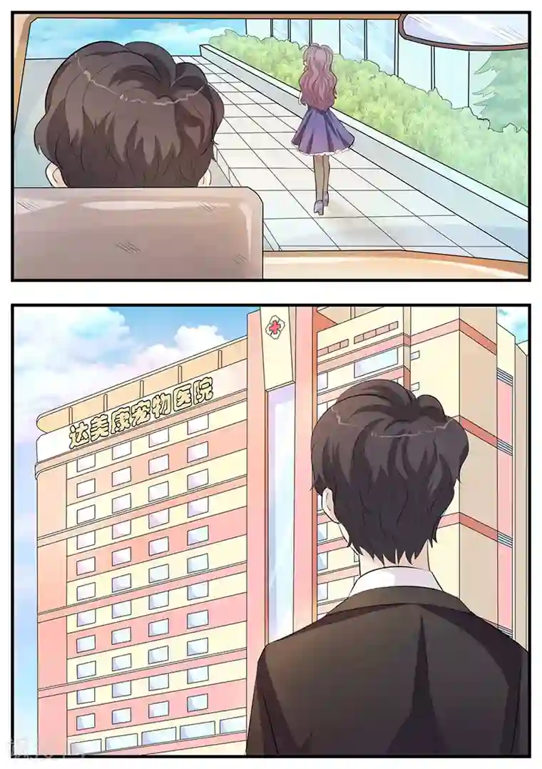 猫奴富少好缠人第3话