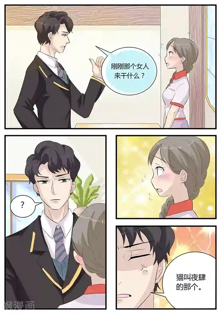 猫奴富少好缠人第3话