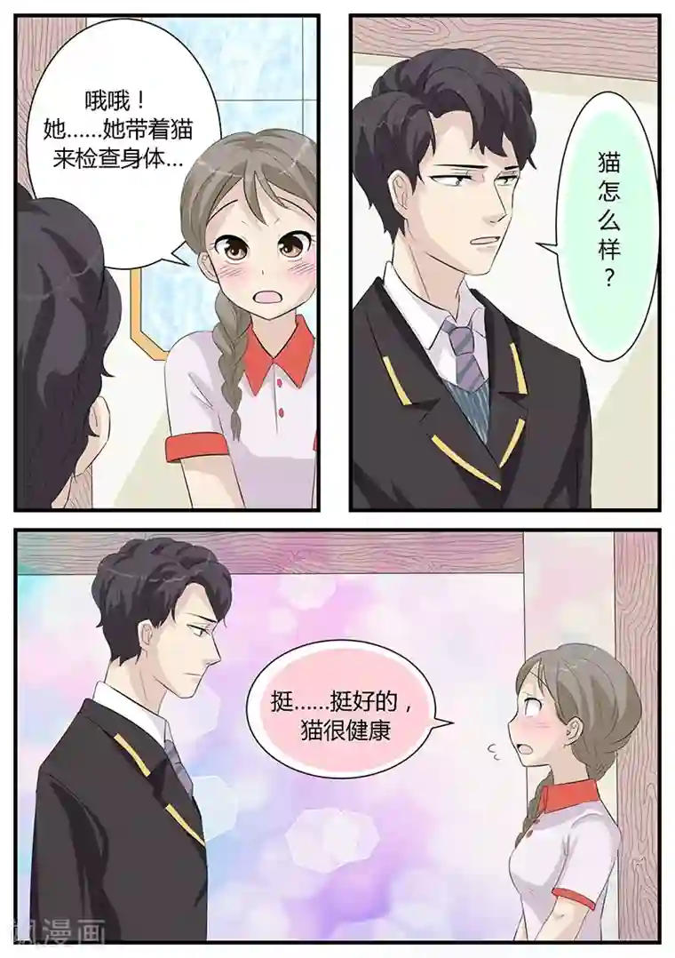 猫奴富少好缠人第3话