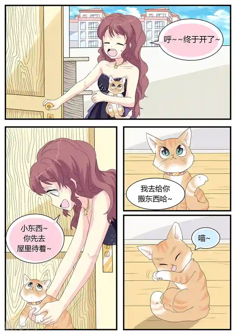 猫奴富少好缠人第4话