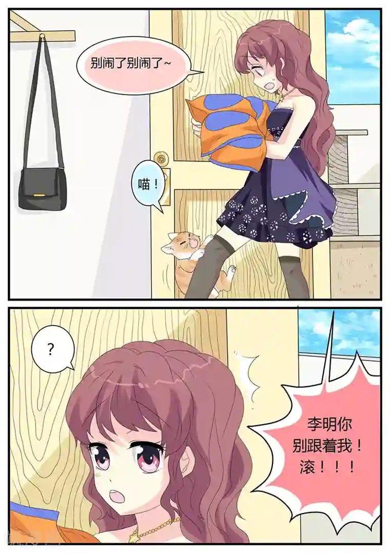 猫奴富少好缠人第4话