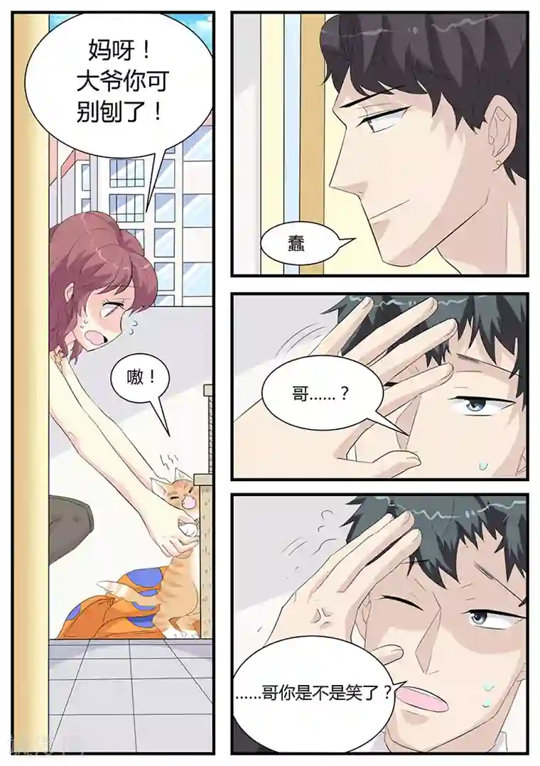 猫奴富少好缠人第4话