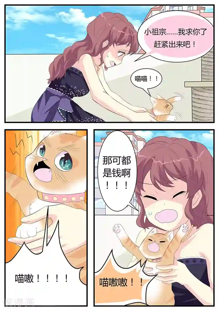 猫奴富少好缠人第4话