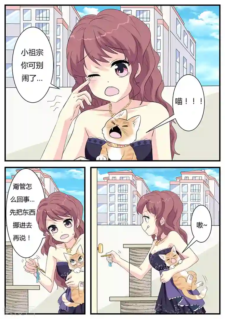 猫奴富少好缠人第4话