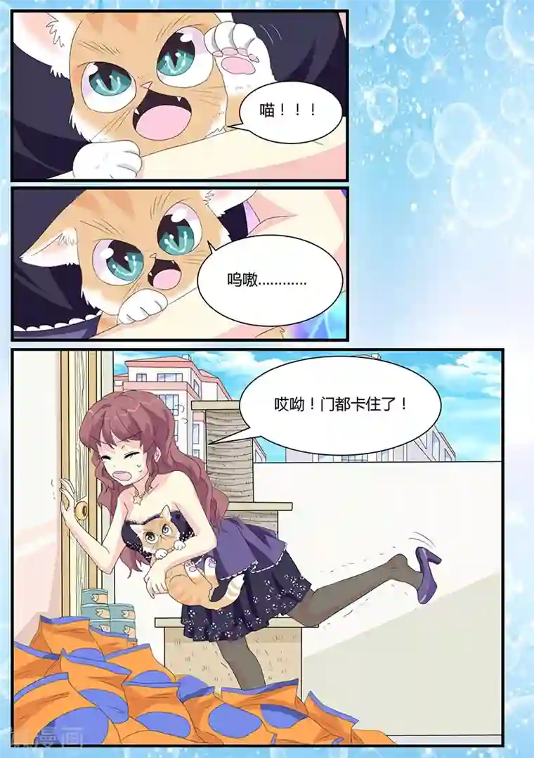 猫奴富少好缠人第4话