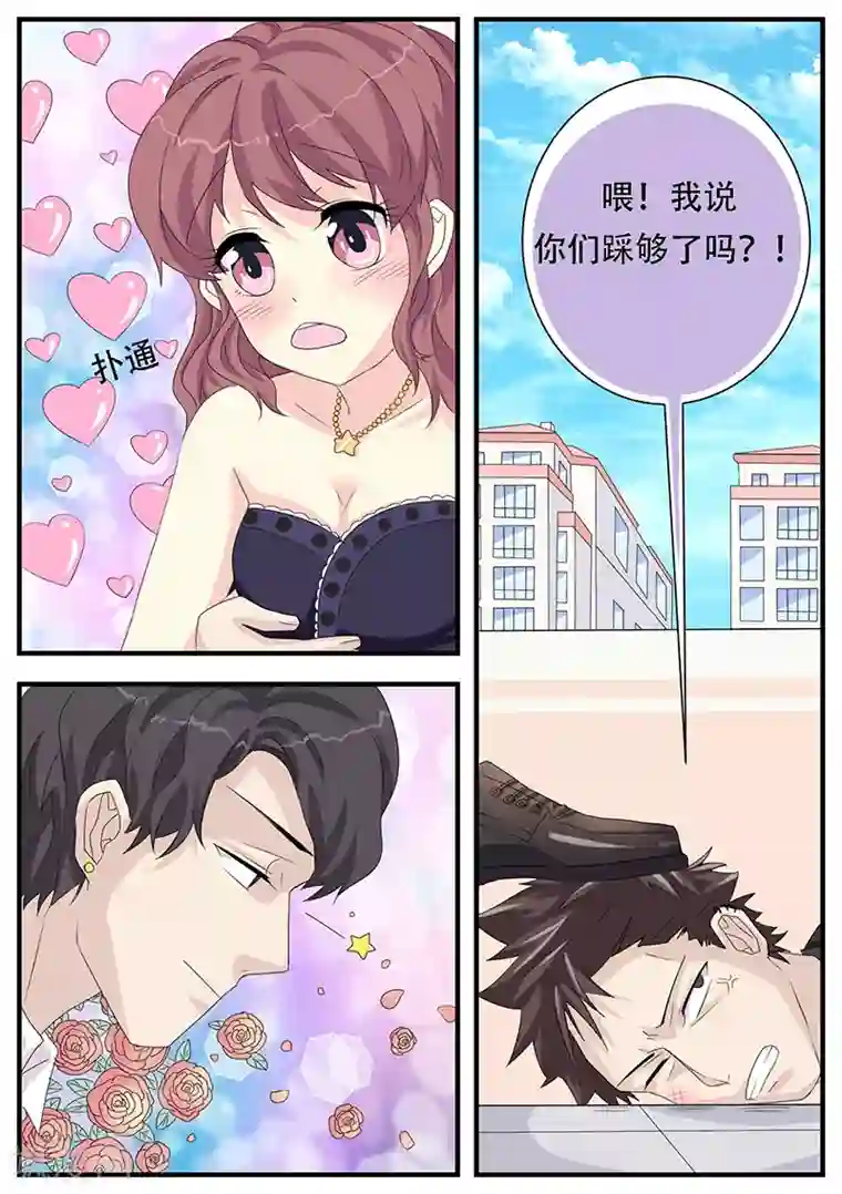 猫奴富少好缠人第5话