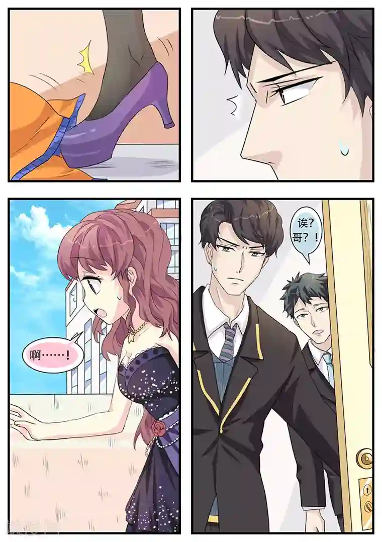 猫奴富少好缠人第5话