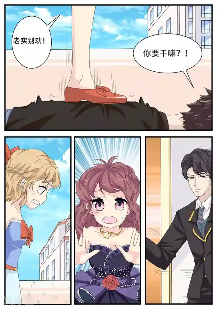 猫奴富少好缠人第5话