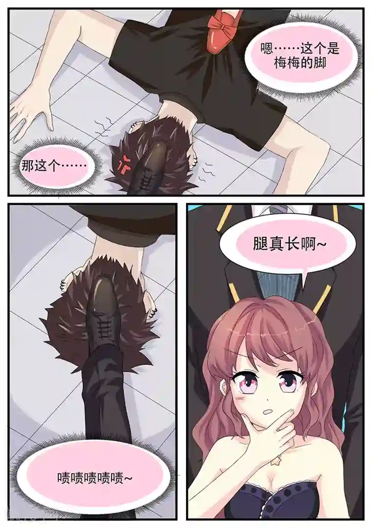 猫奴富少好缠人第5话