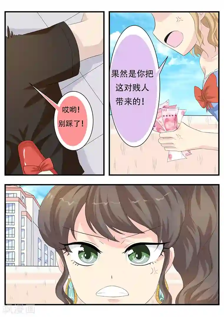猫奴富少好缠人第6话
