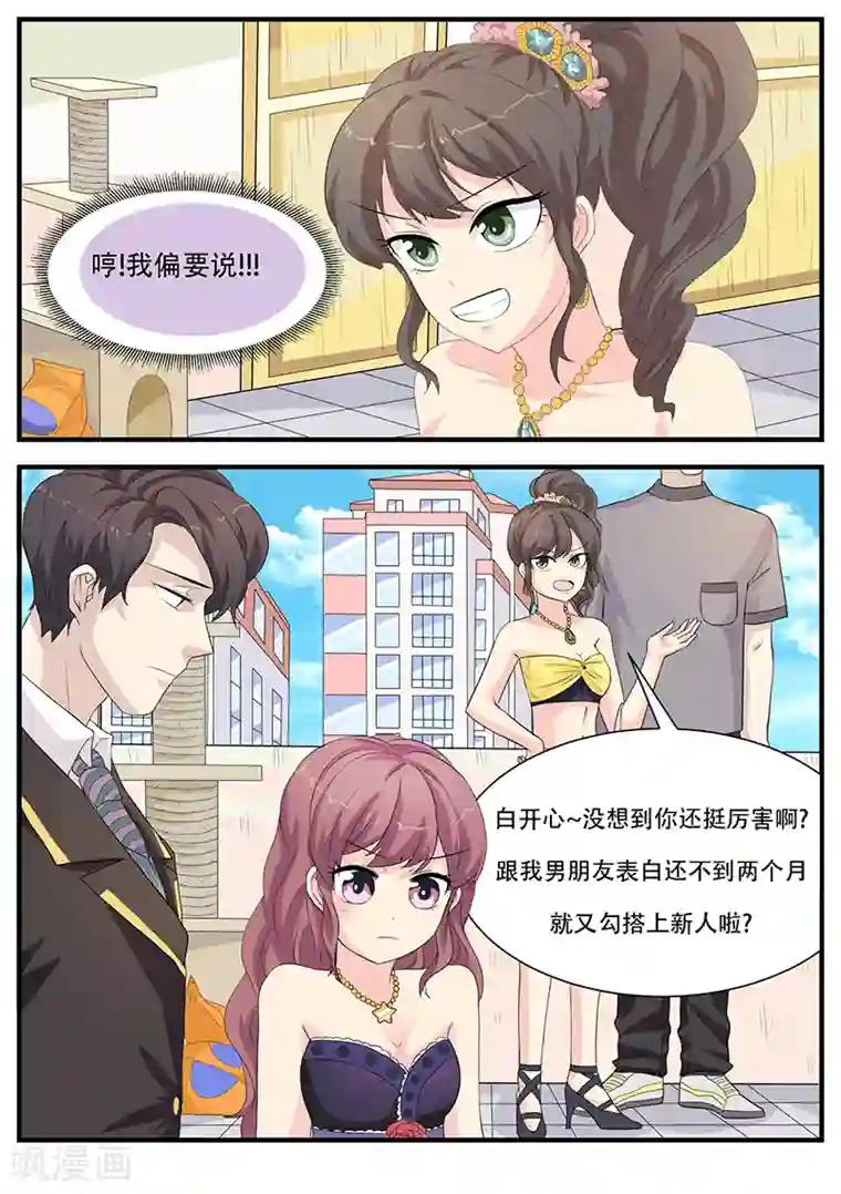 猫奴富少好缠人第6话