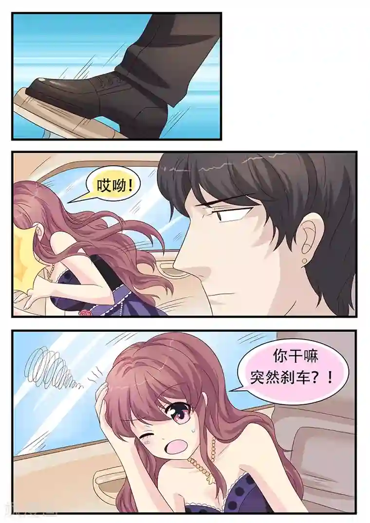 猫奴富少好缠人第8话