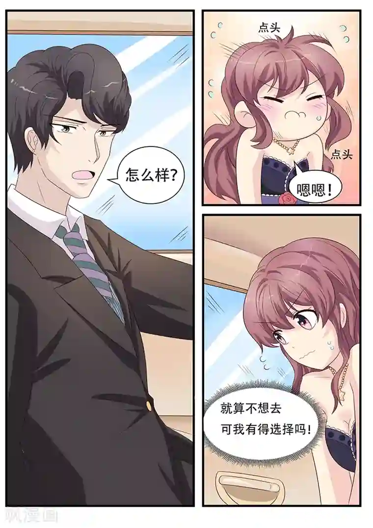 猫奴富少好缠人第8话