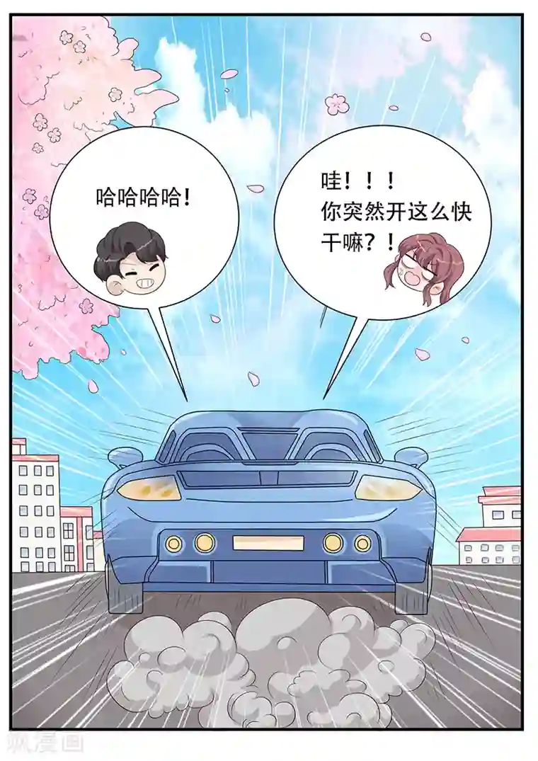 猫奴富少好缠人第8话