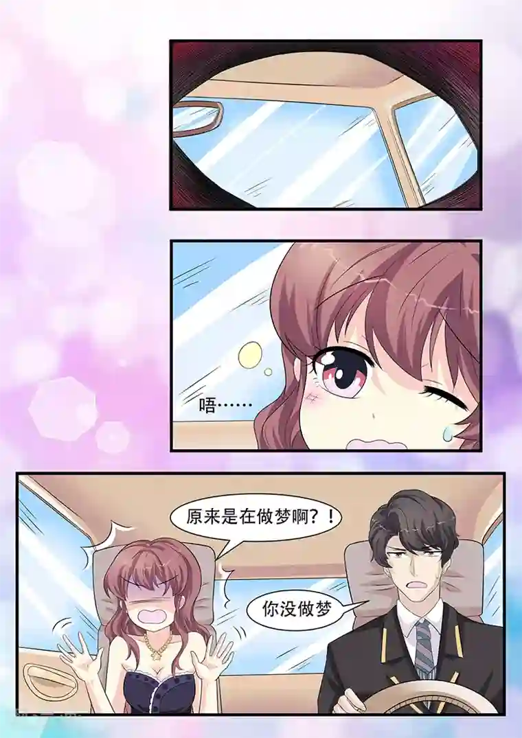 猫奴富少好缠人第8话