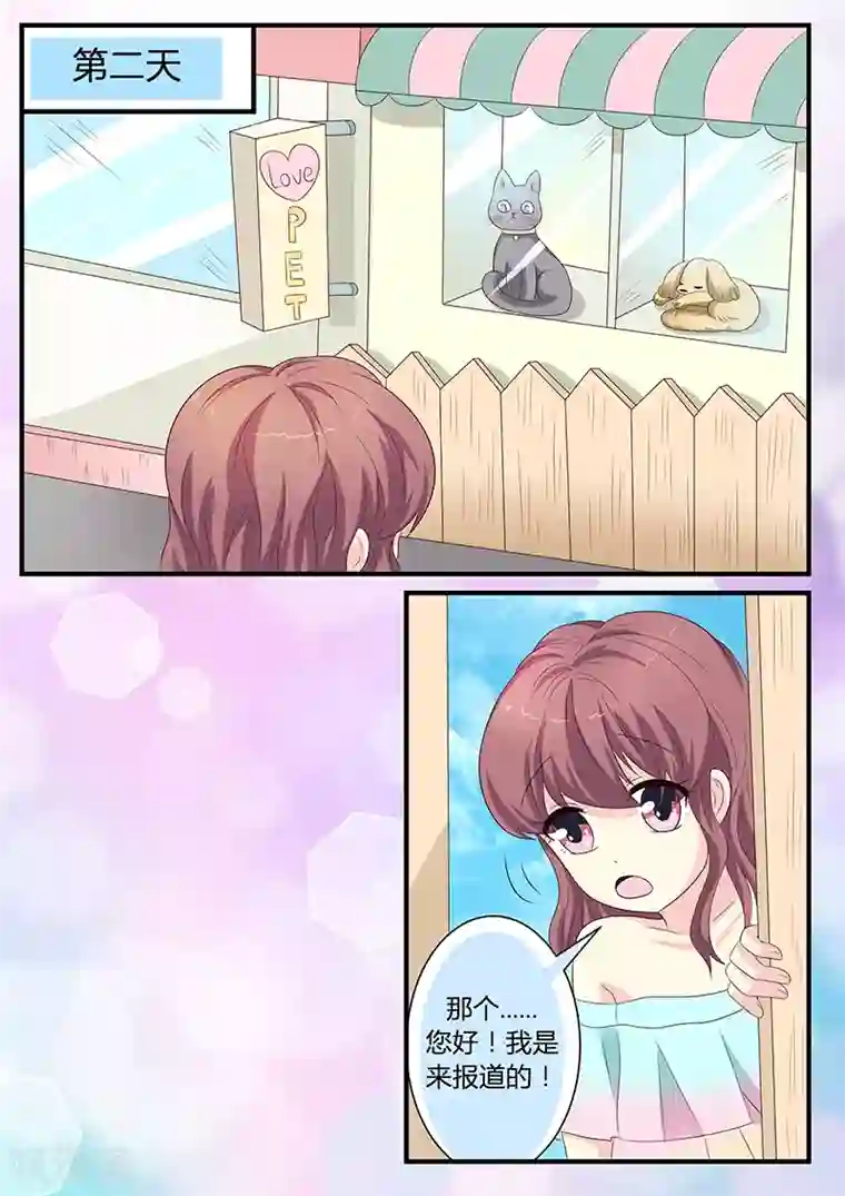 猫奴富少好缠人第9话