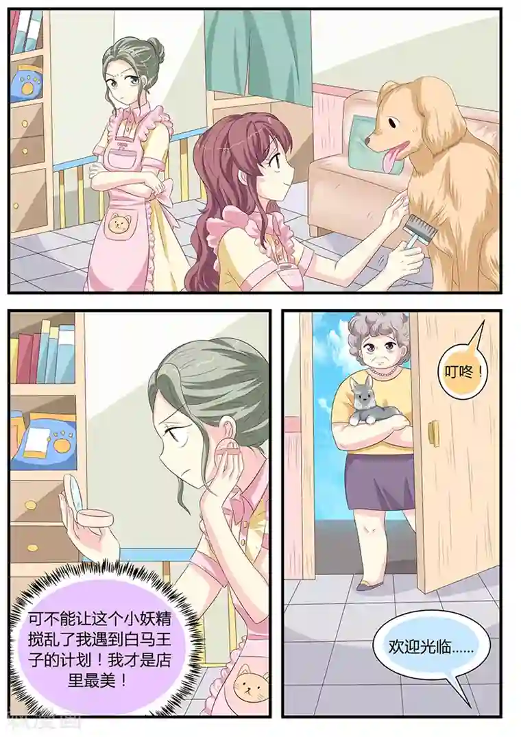 猫奴富少好缠人第9话