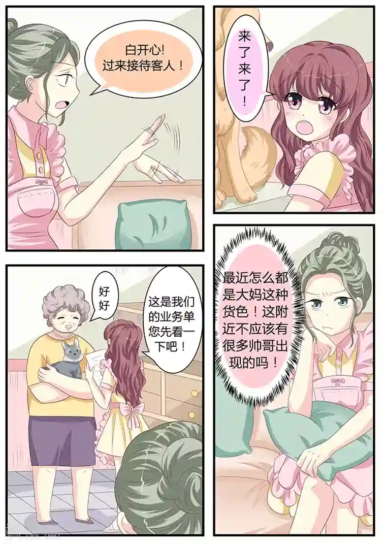 猫奴富少好缠人第9话