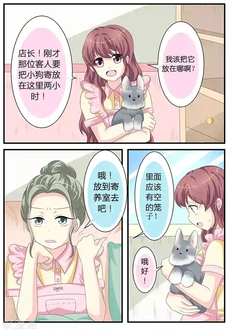 猫奴富少好缠人第9话