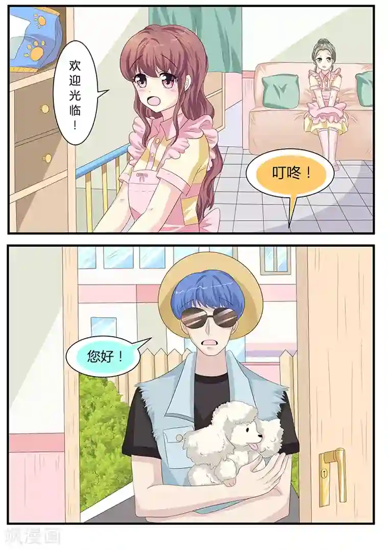 猫奴富少好缠人第9话