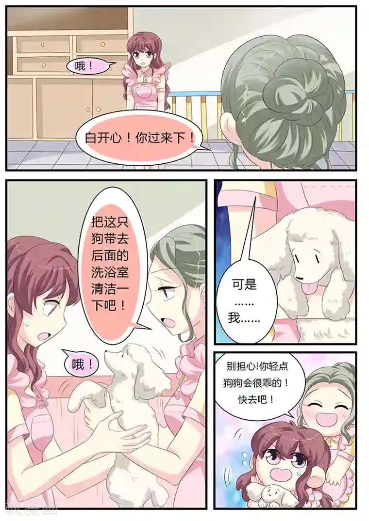 猫奴富少好缠人第10话