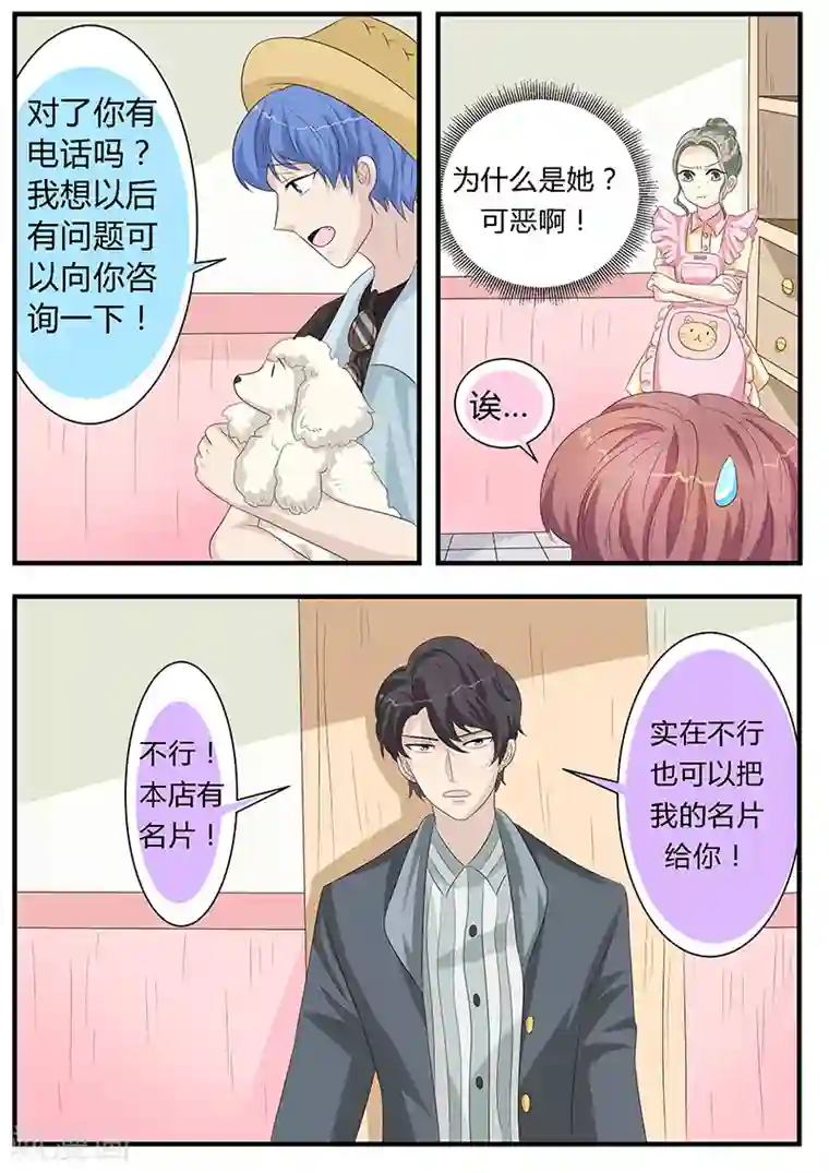 猫奴富少好缠人第10话