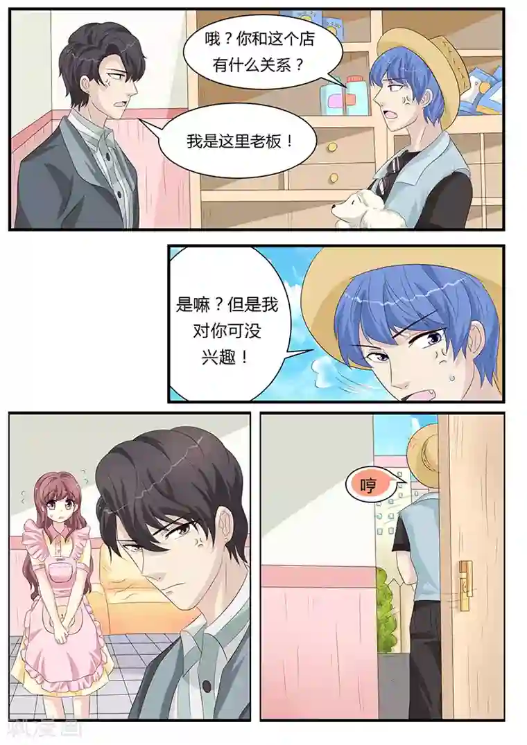 猫奴富少好缠人第10话