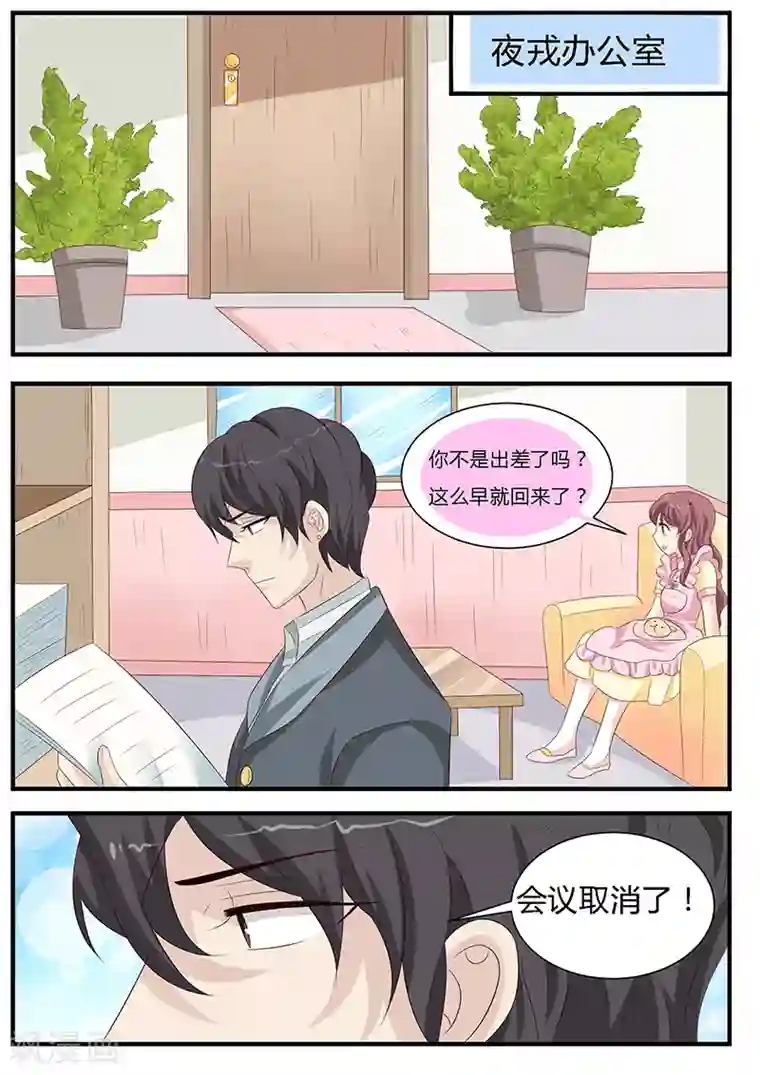 猫奴富少好缠人第10话