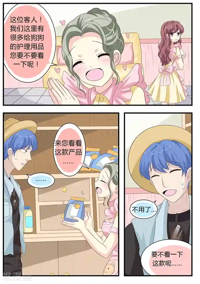 猫奴富少好缠人第10话