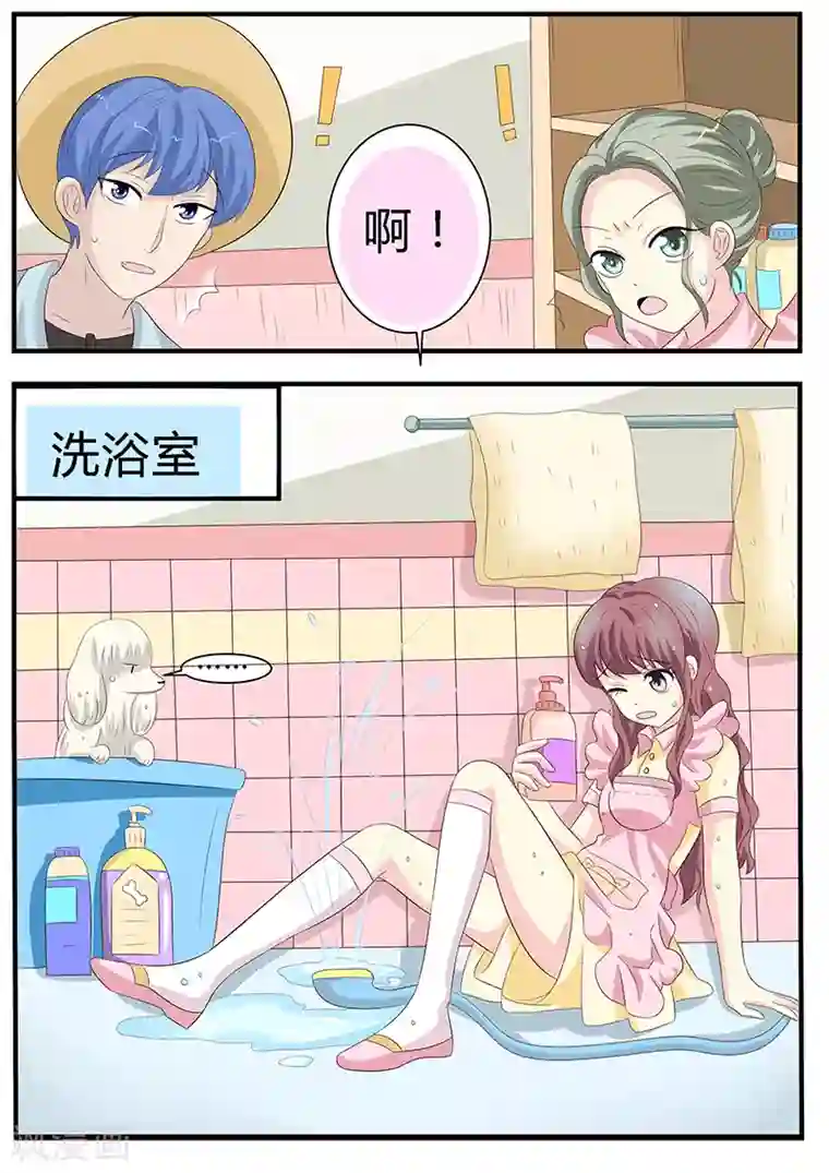 猫奴富少好缠人第10话