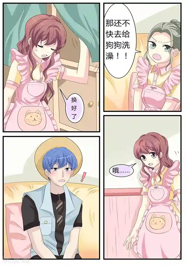 猫奴富少好缠人第10话