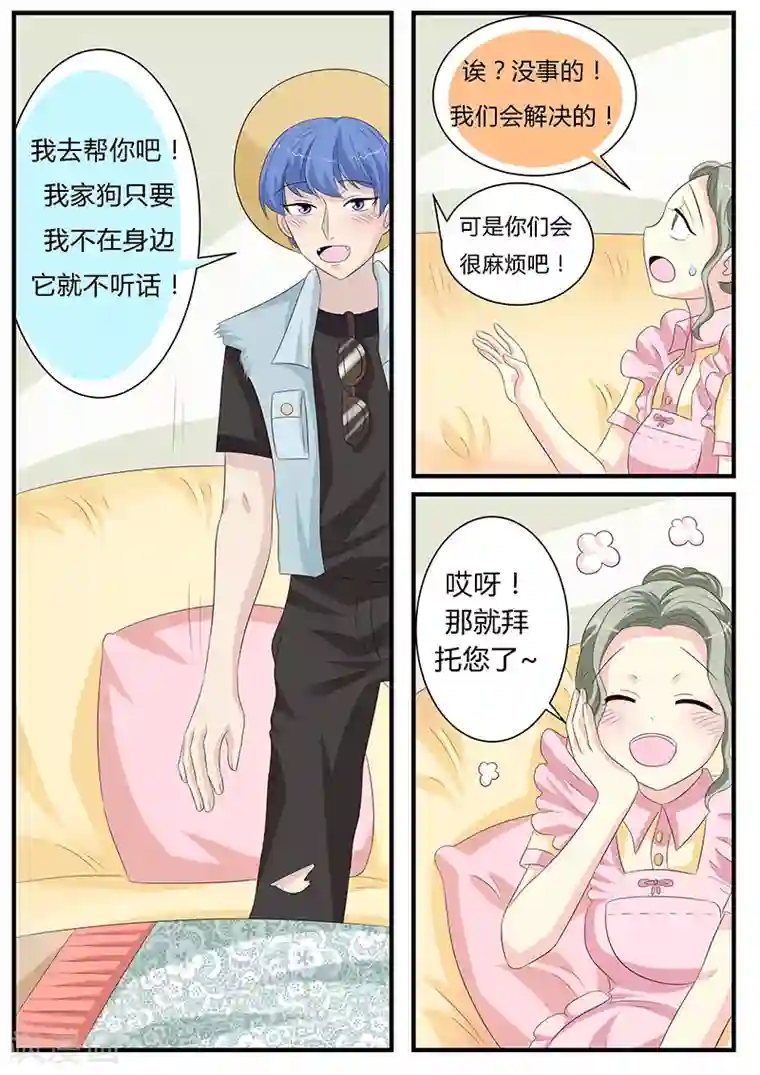 猫奴富少好缠人第10话