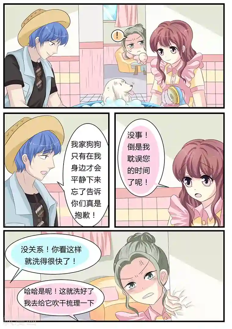 猫奴富少好缠人第10话