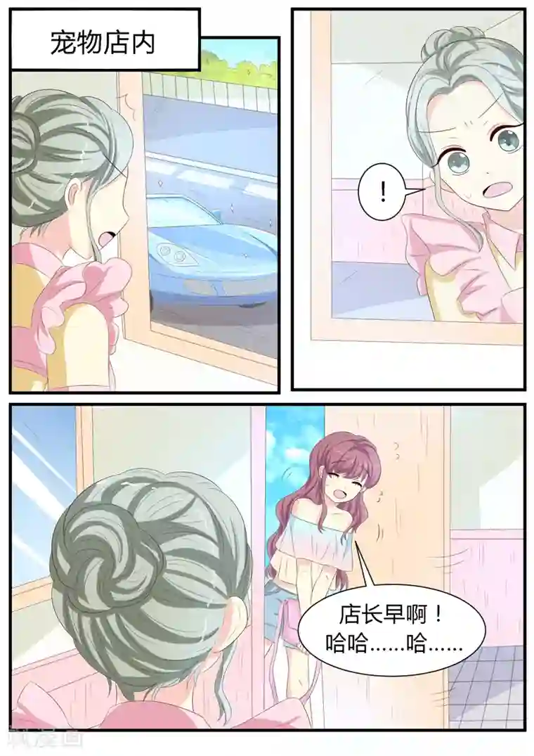 猫奴富少好缠人第11话