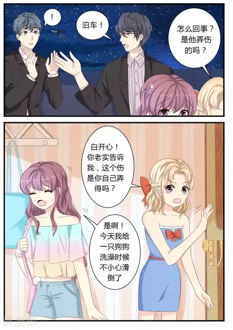 猫奴富少好缠人第11话