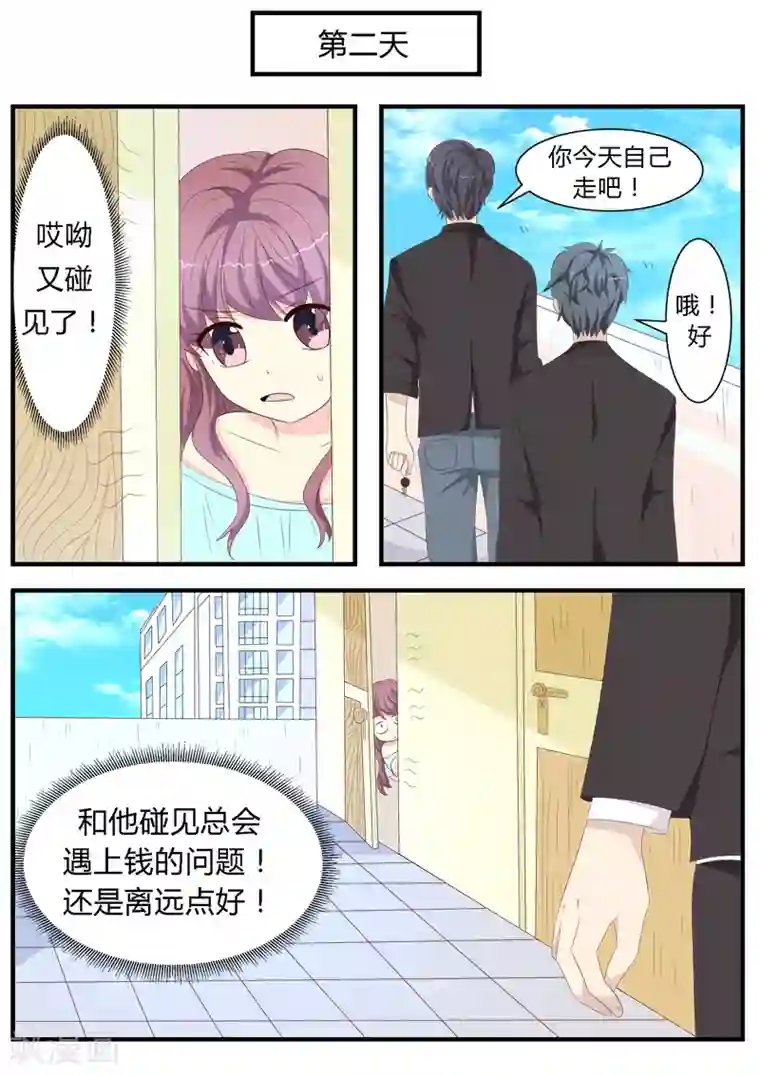 猫奴富少好缠人第11话