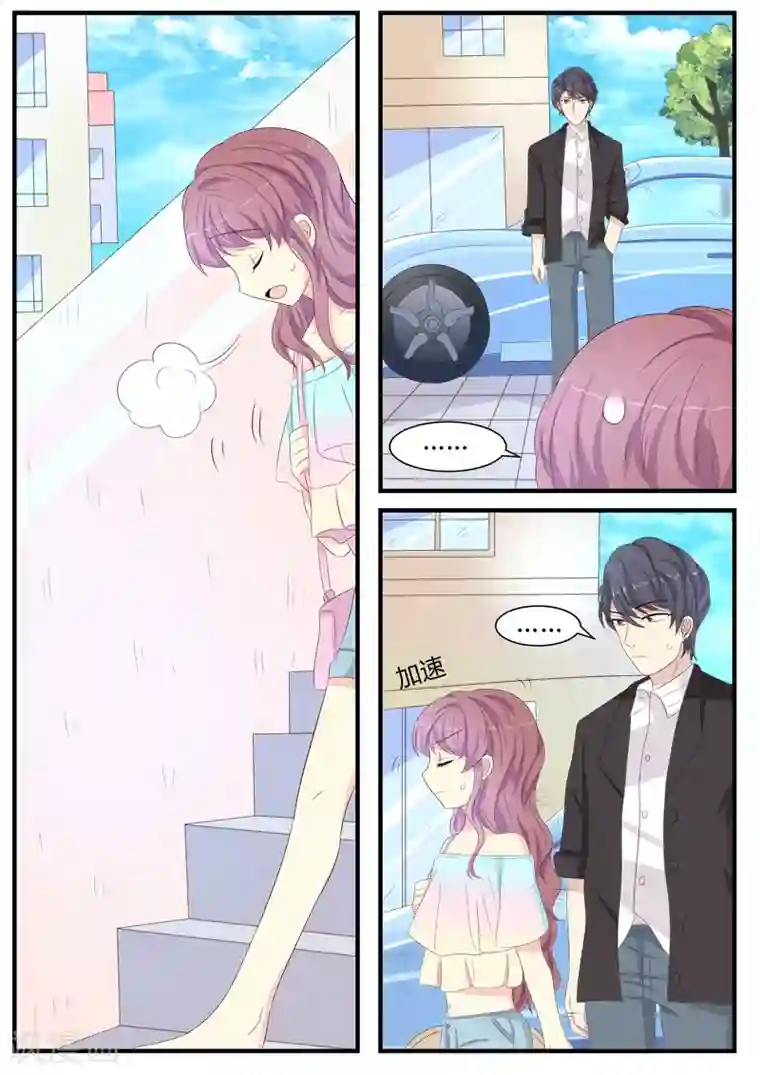 猫奴富少好缠人第11话