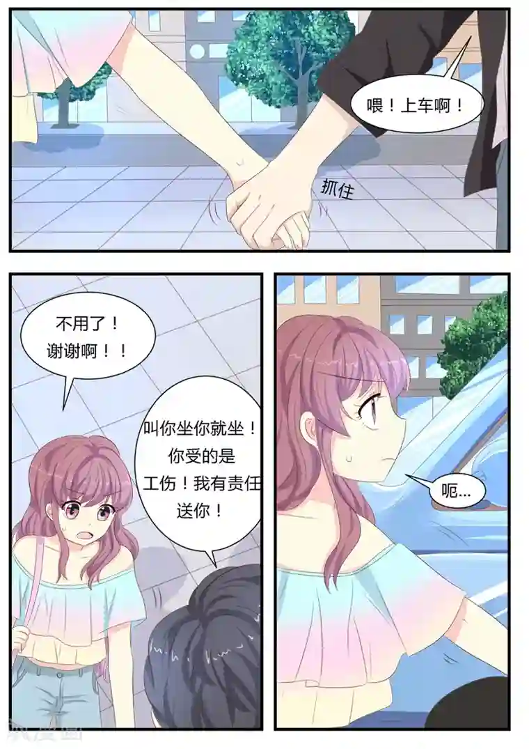 猫奴富少好缠人第11话
