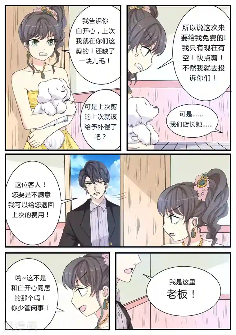 猫奴富少好缠人第12话