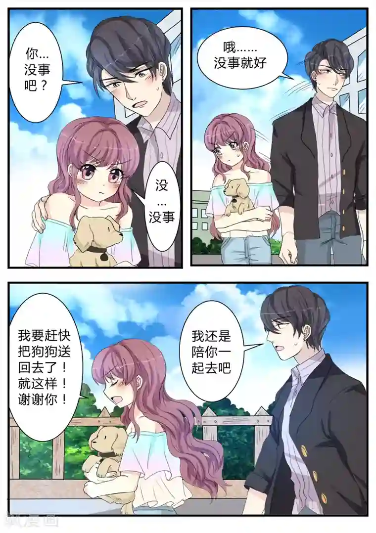 猫奴富少好缠人第12话