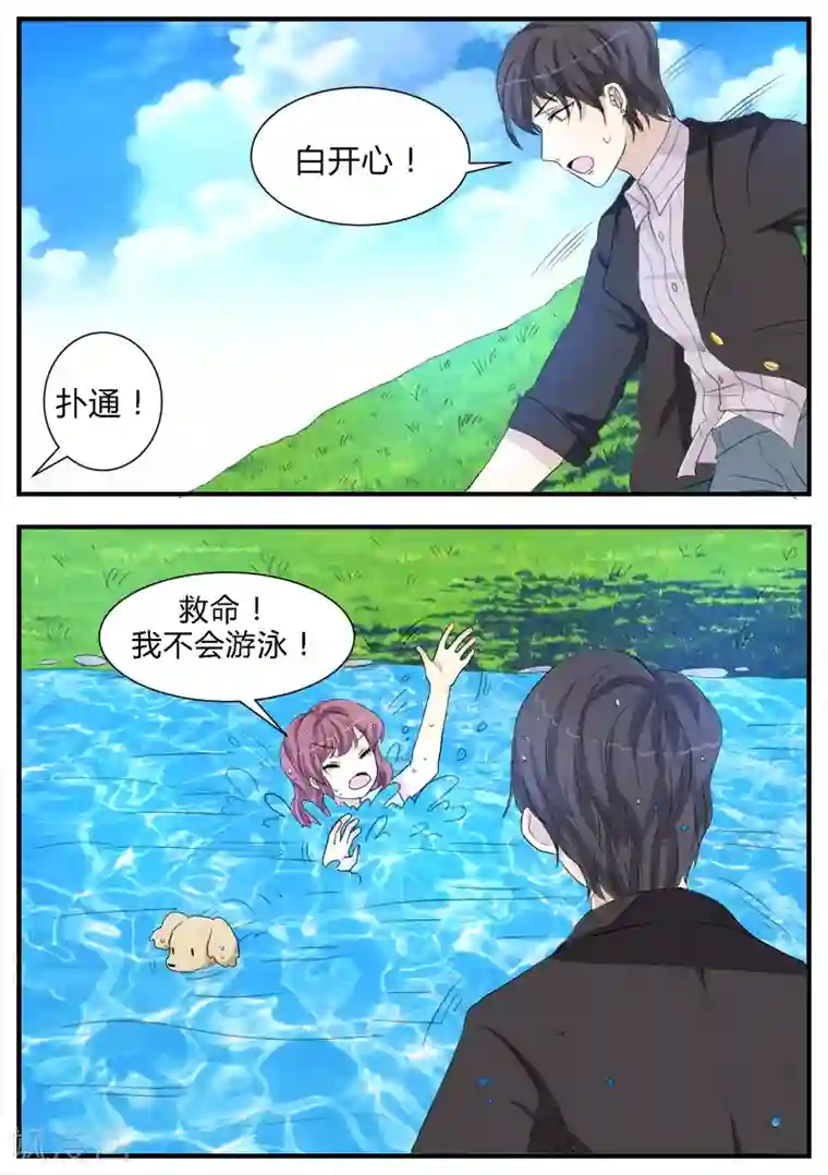 猫奴富少好缠人第12话