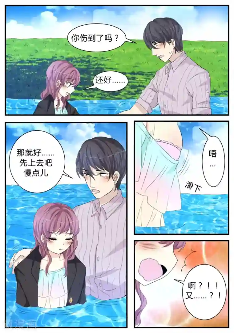 猫奴富少好缠人第12话