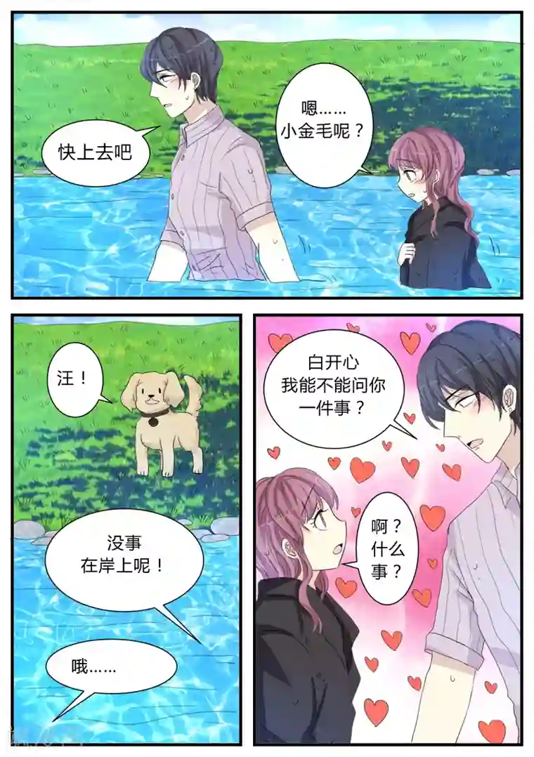 猫奴富少好缠人第12话